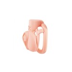 Pink pride chastity cage short