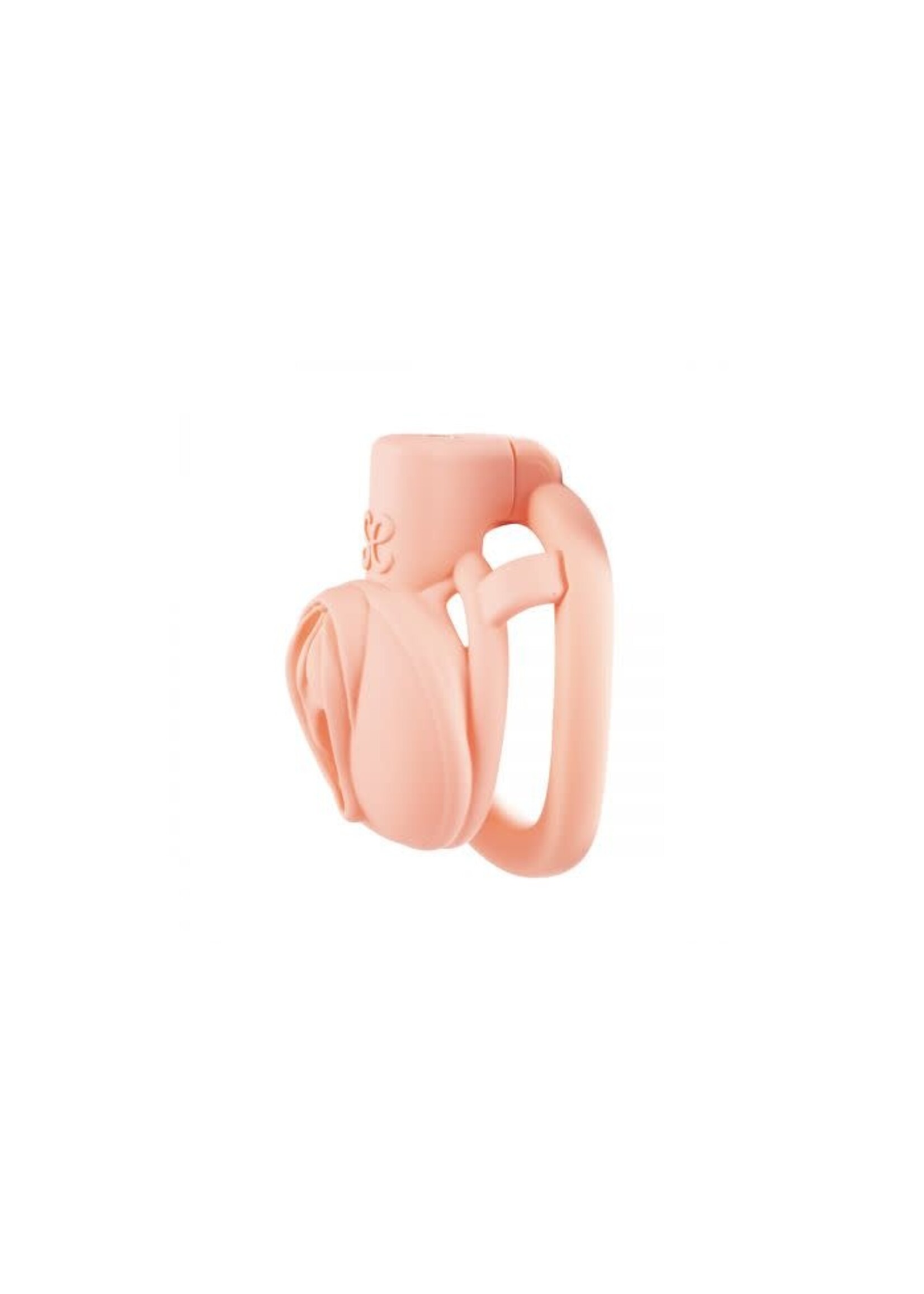 Pink pride chastity cage short