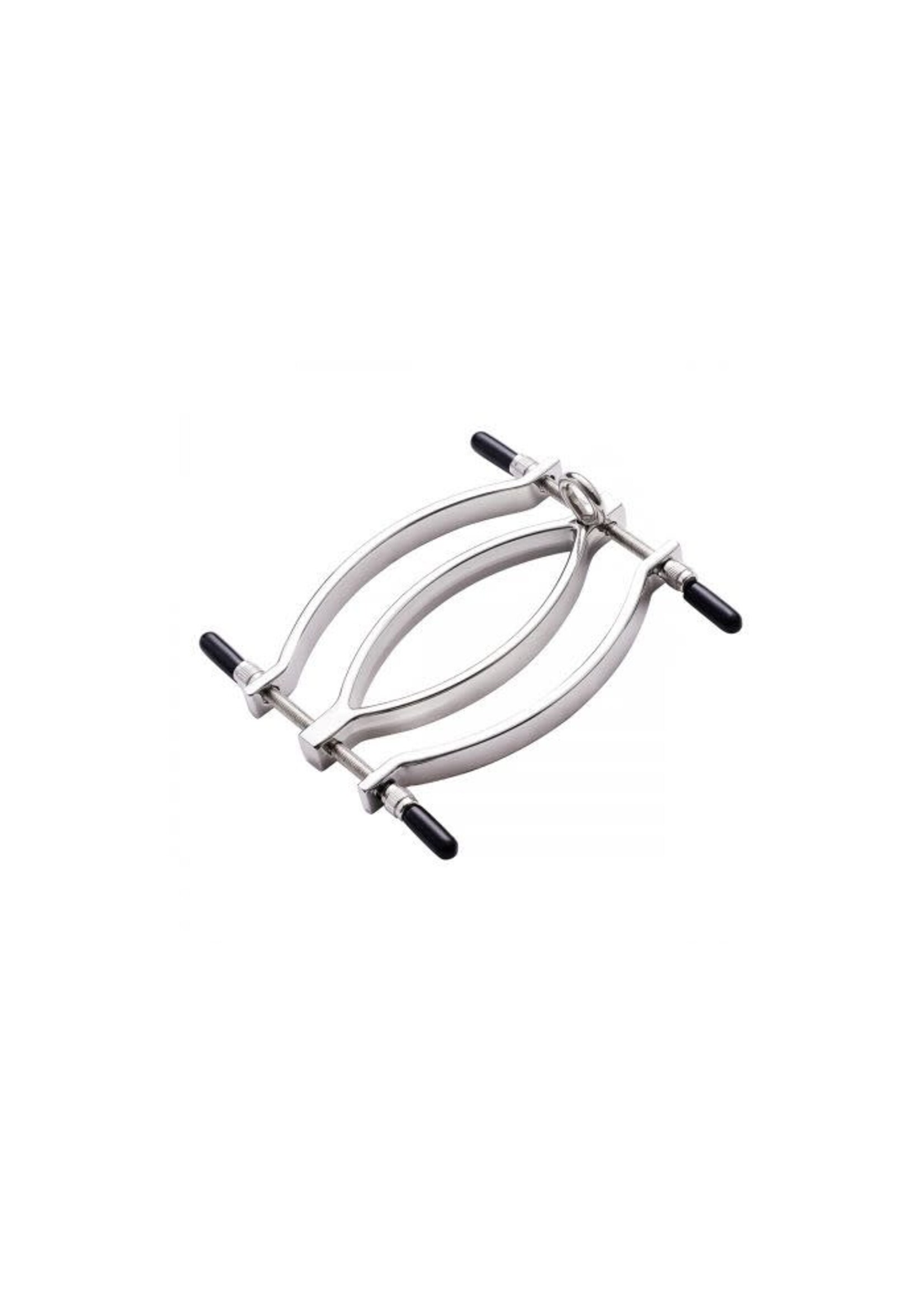 Kiotos Clit clamp with leash chain