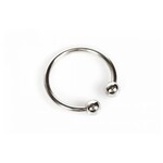 Kiotos Glansring - horse shoe head