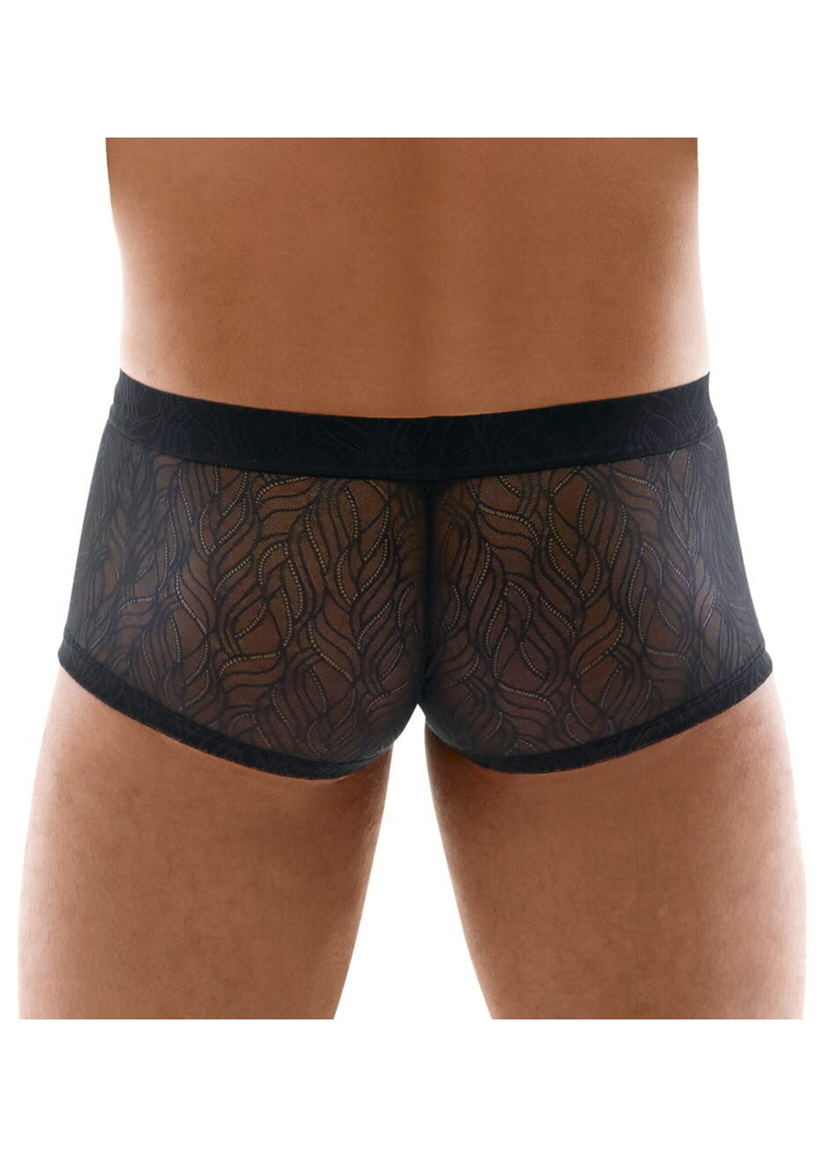 Svenjoyment Transparent lace pants