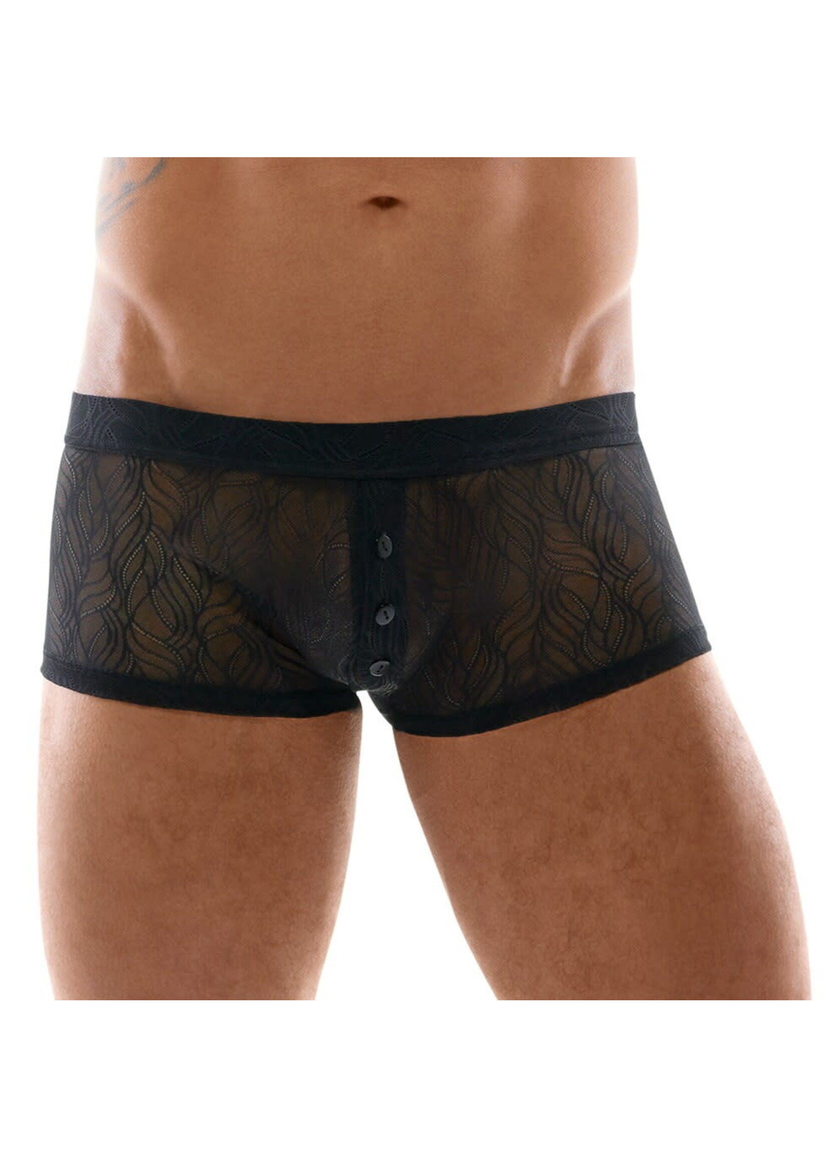 Svenjoyment Transparent lace pants