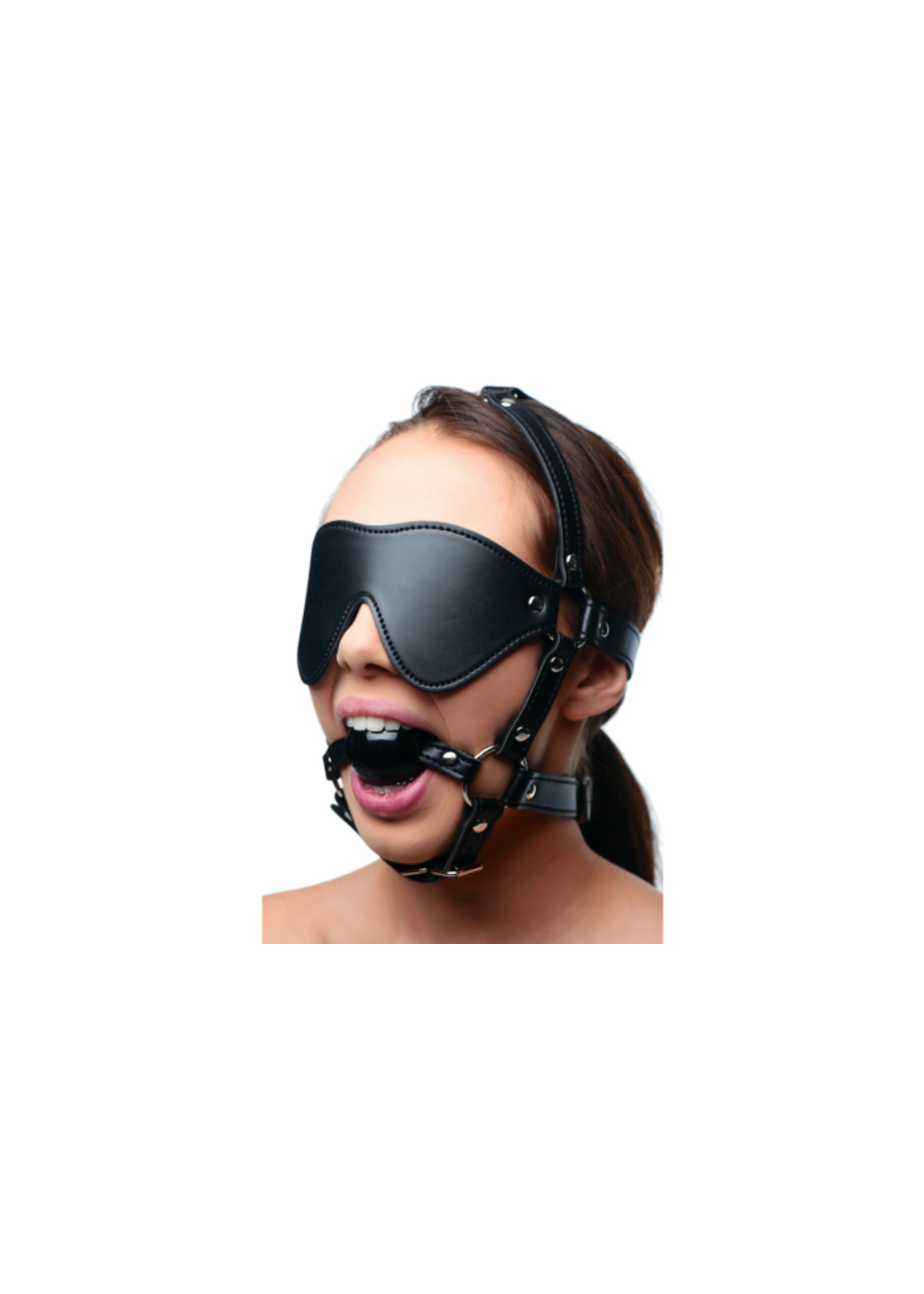 Blindfold harness and ball gag