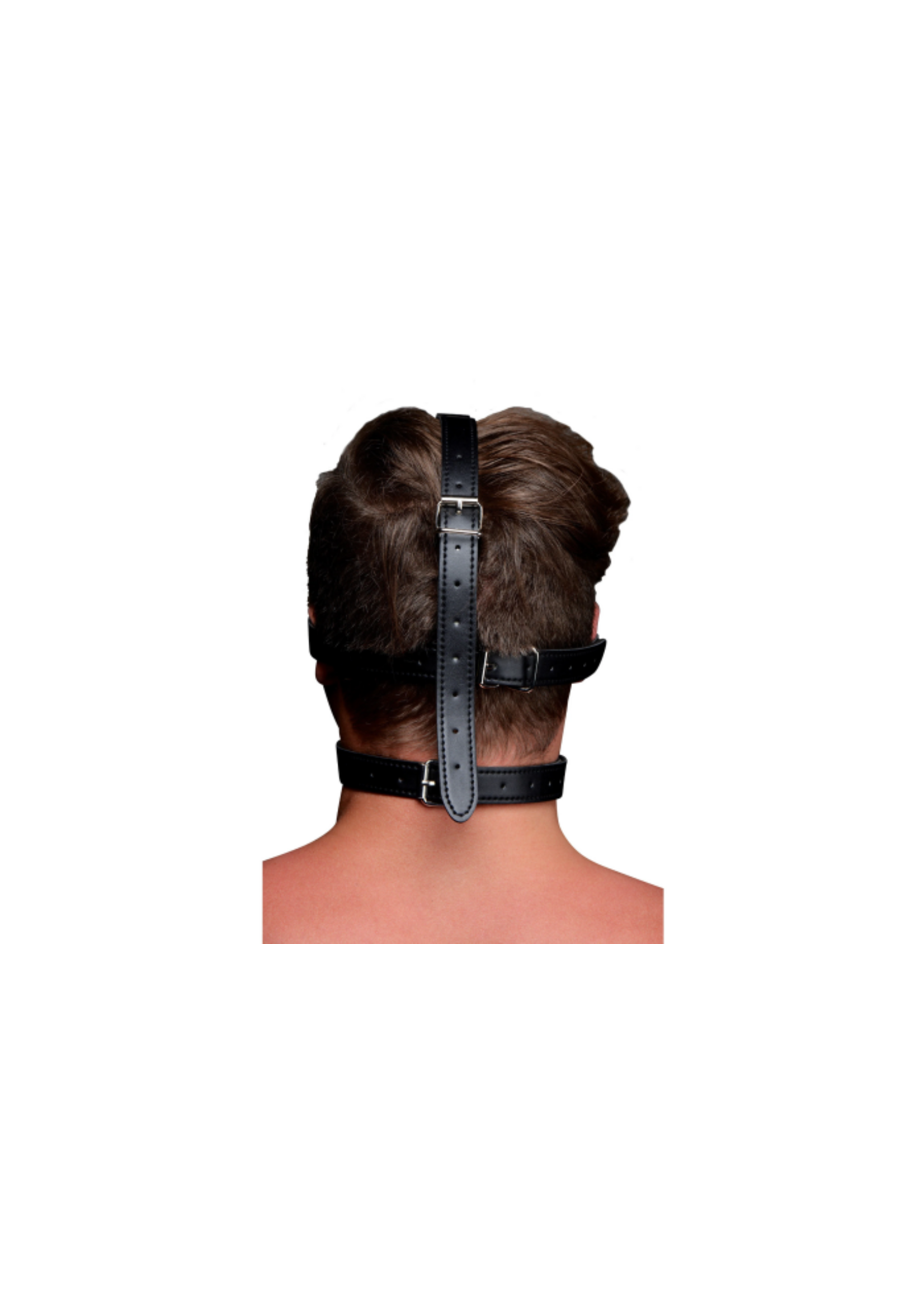 Blindfold harness and ball gag