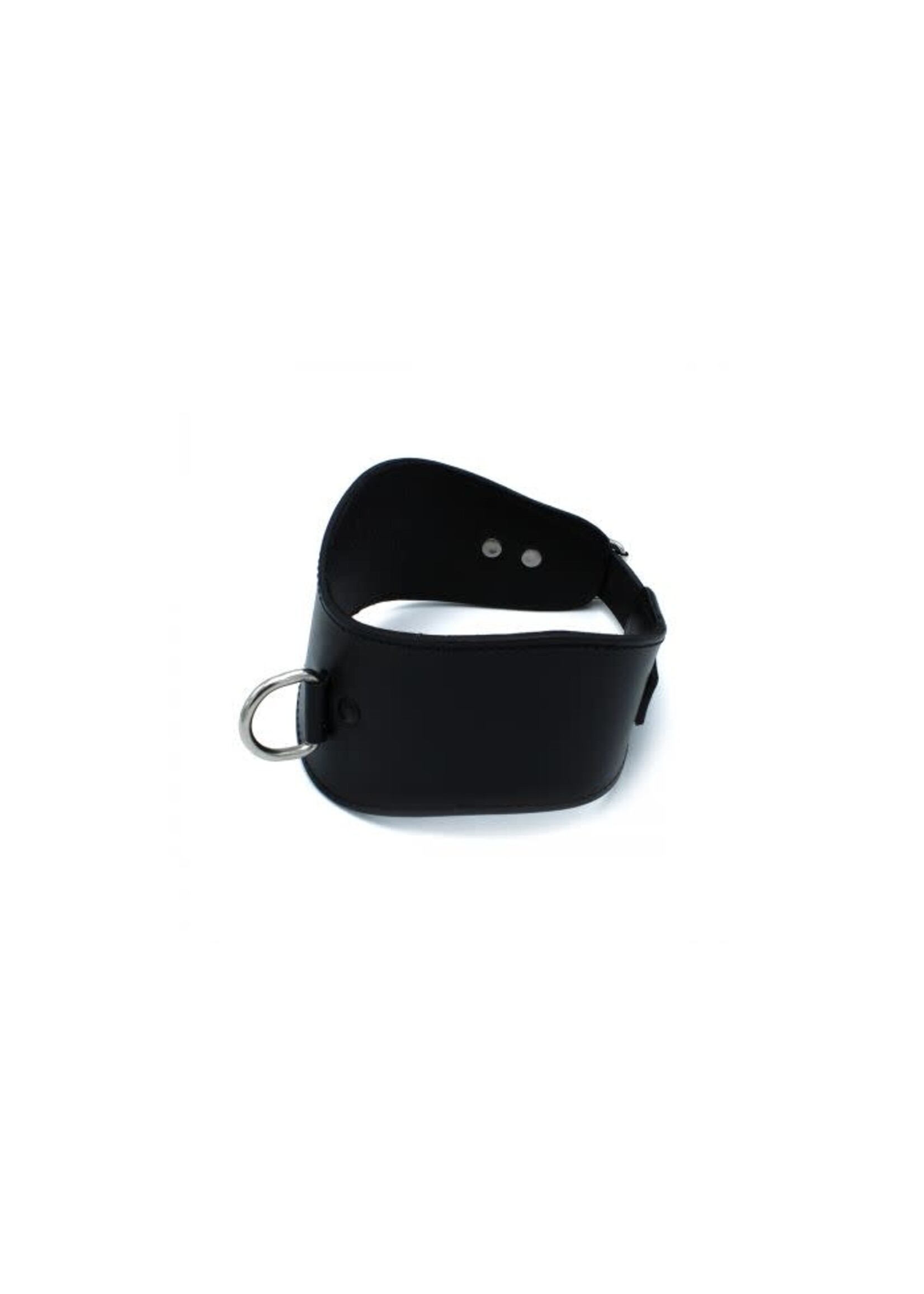 O-Products Contoured black leather collar with D-ring