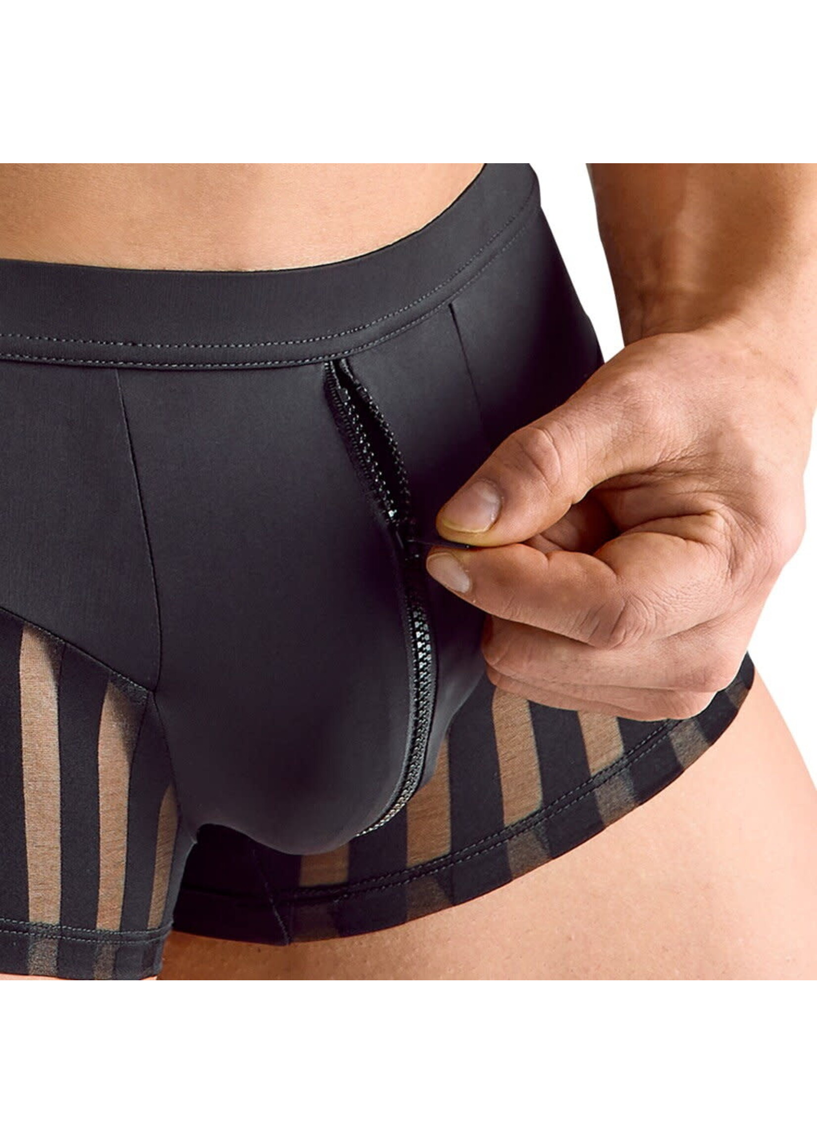 Svenjoyment Stript pants