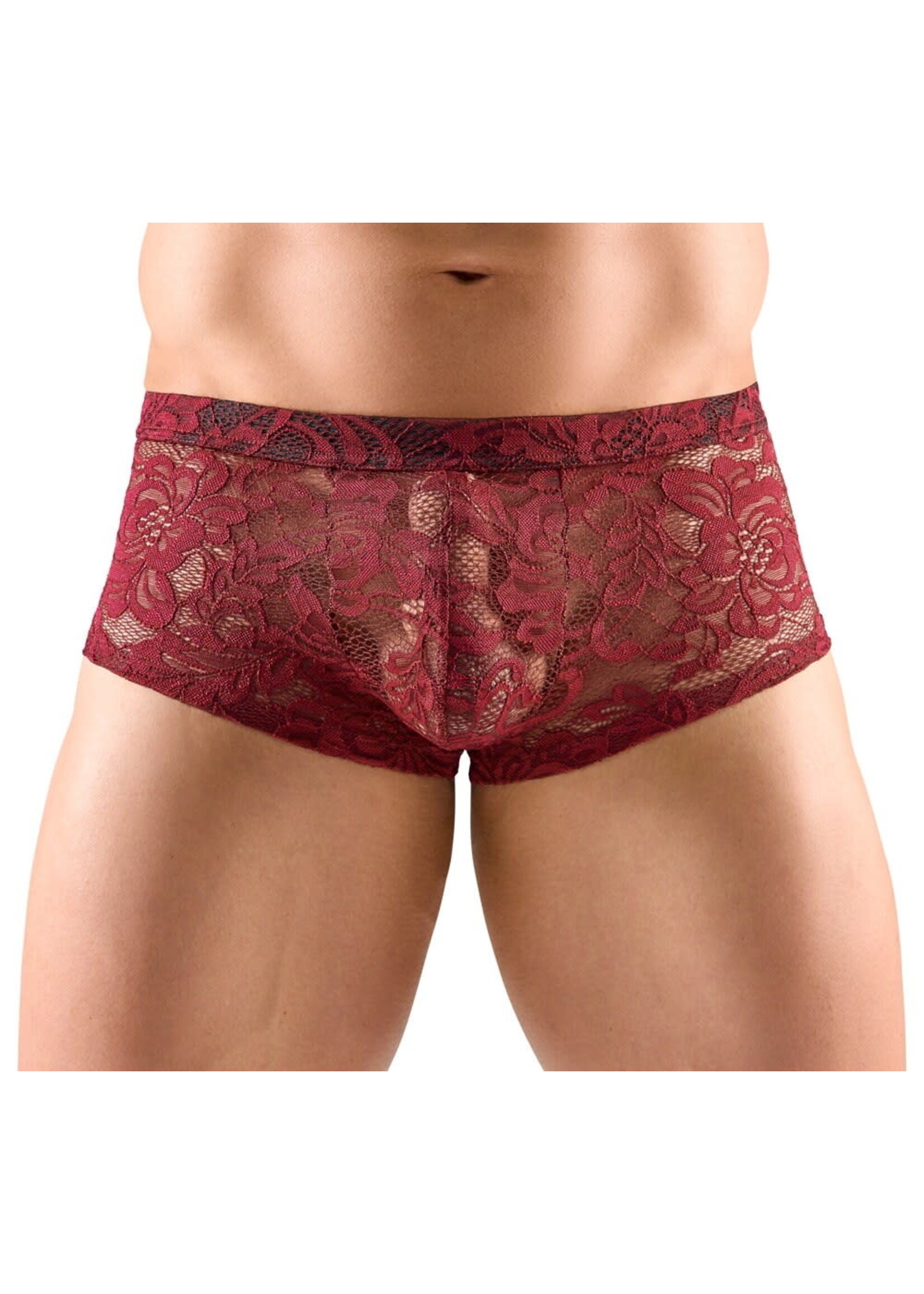 Svenjoyment Transparent short - red