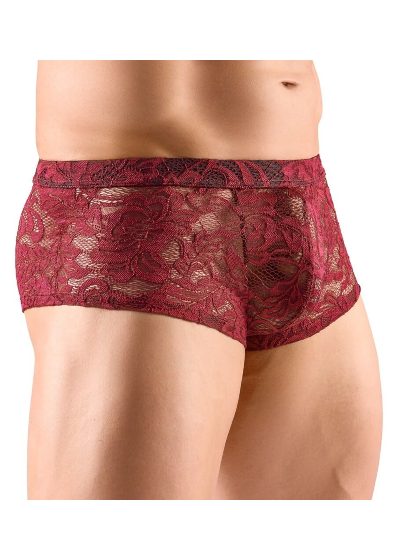 Svenjoyment Transparent short - red