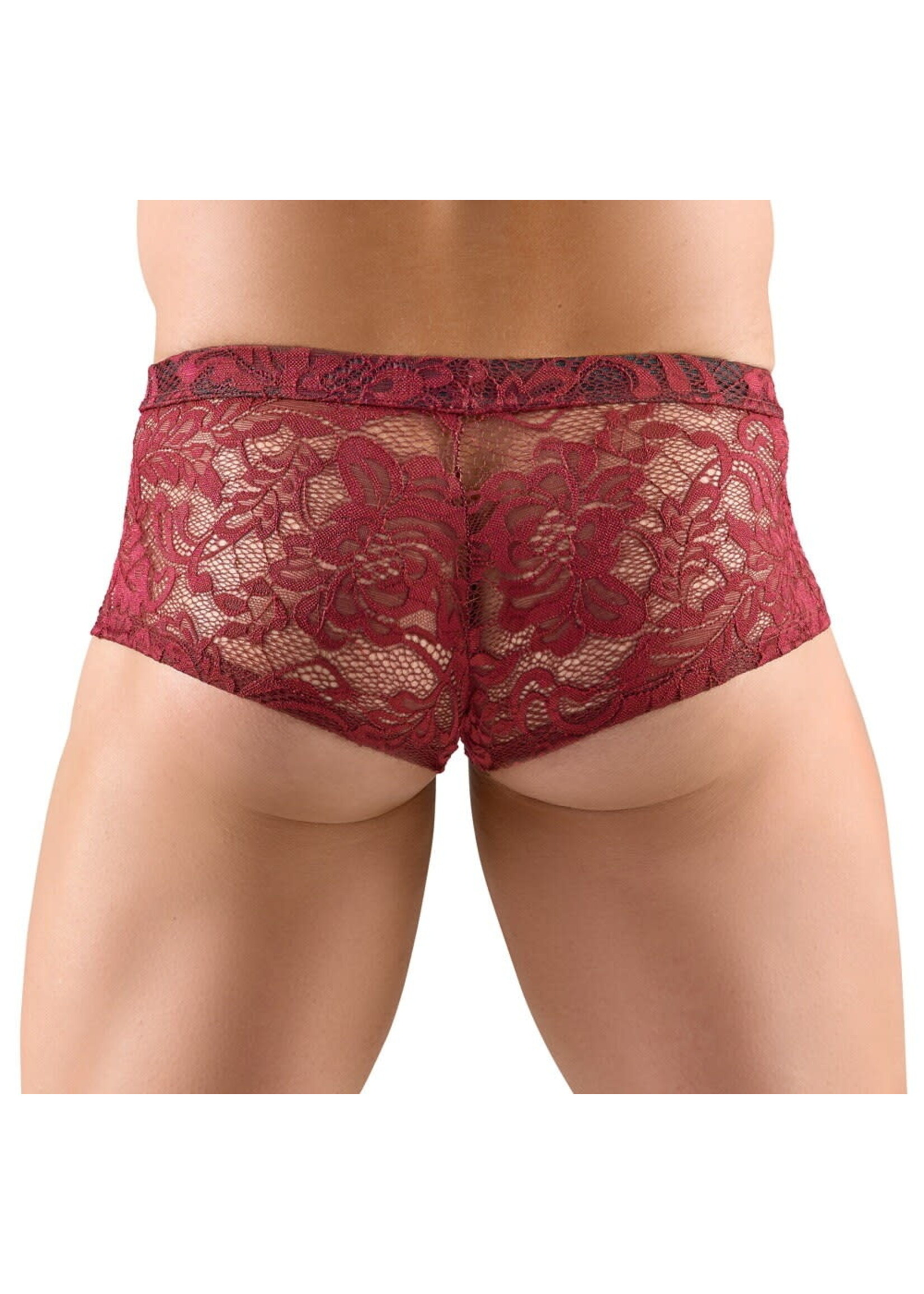 Svenjoyment Transparent short - red