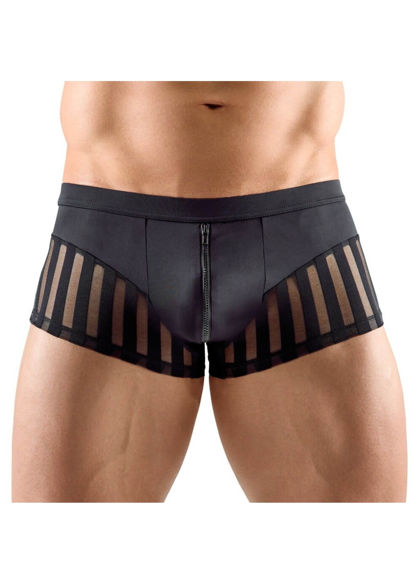 Svenjoyment Stript pants