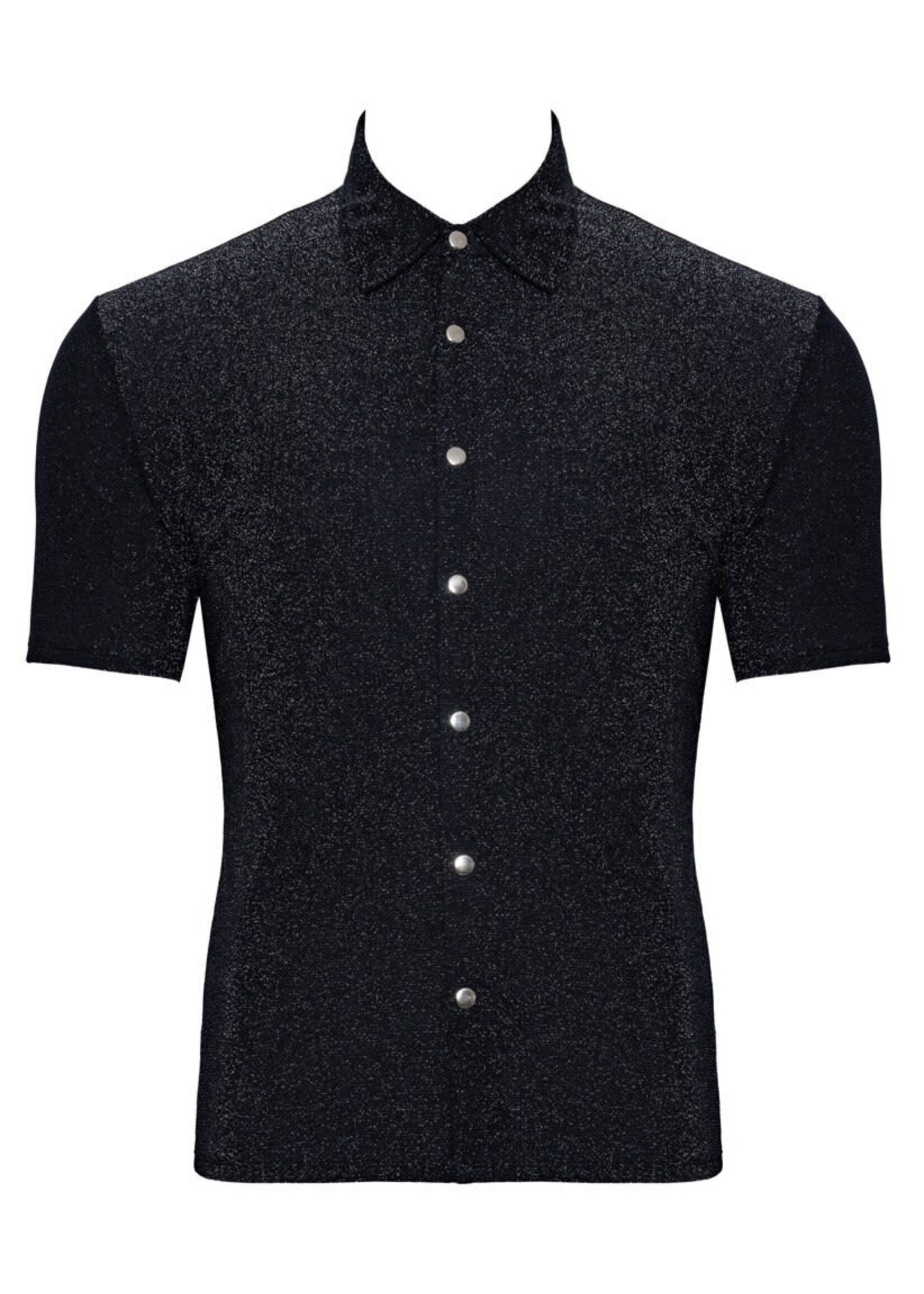 Svenjoyment Shimmering shirt