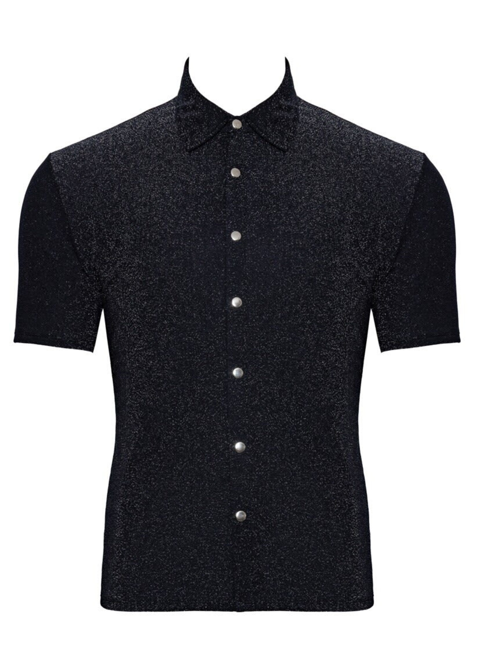 Svenjoyment Shimmering shirt