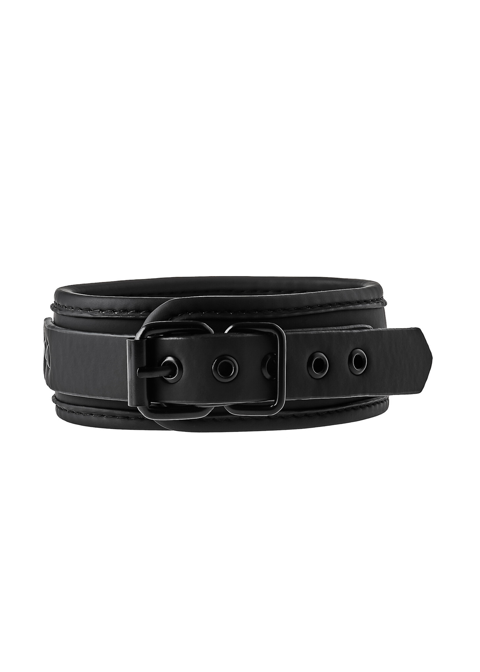 Blaze Blaze collar and leash