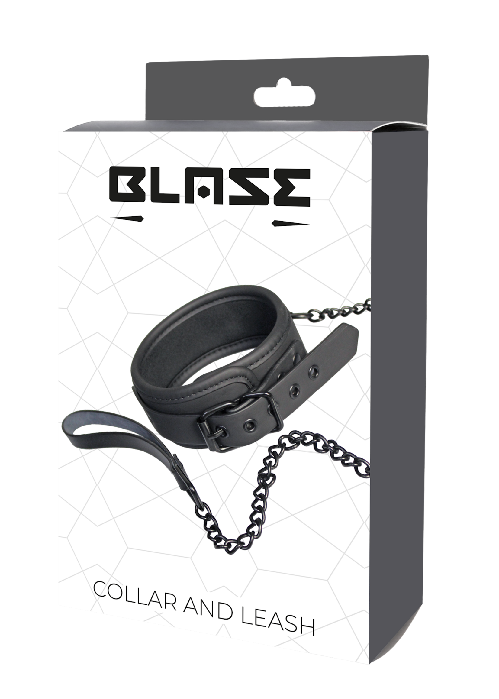Blaze Blaze collar and leash