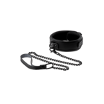 Blaze Blaze collar and leash