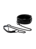 Blaze Blaze collar and leash