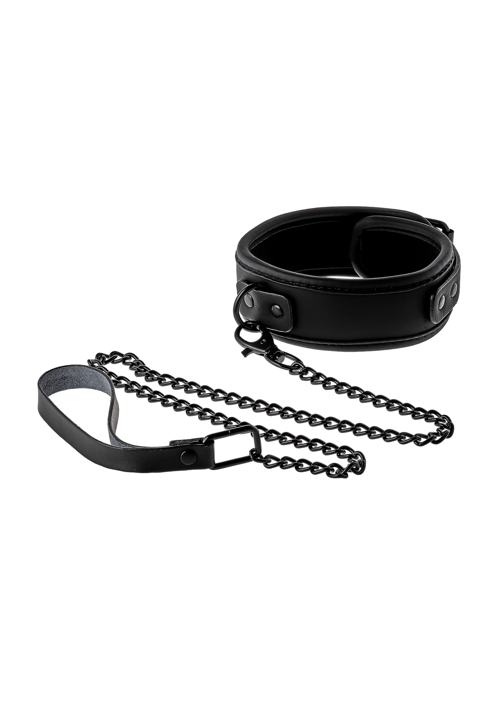 Blaze Blaze collar and leash