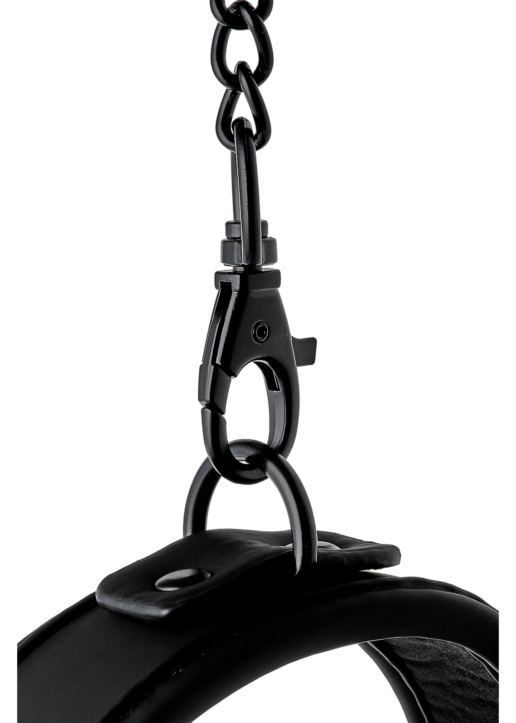 Blaze Blaze collar and leash