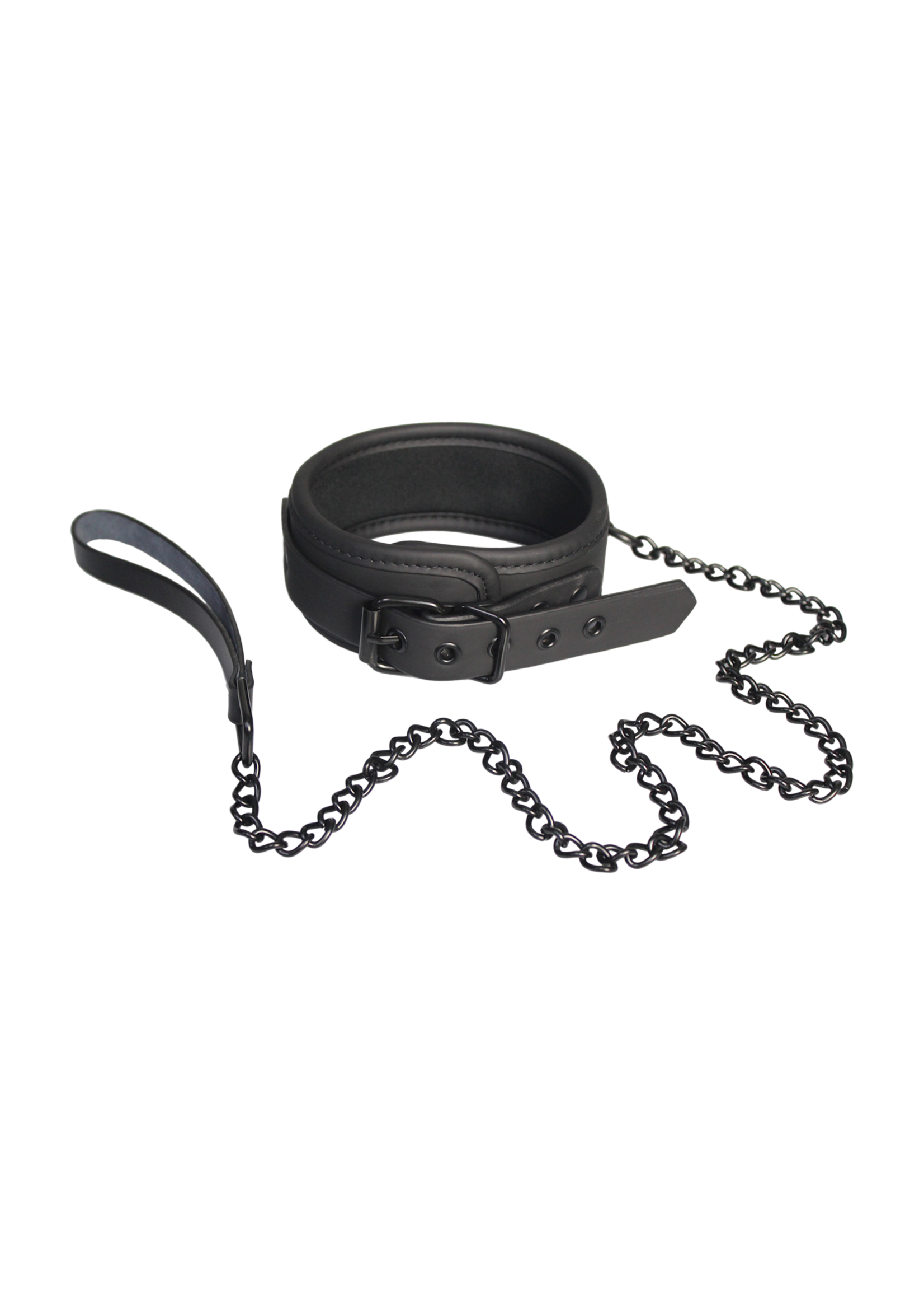 Blaze Blaze collar and leash