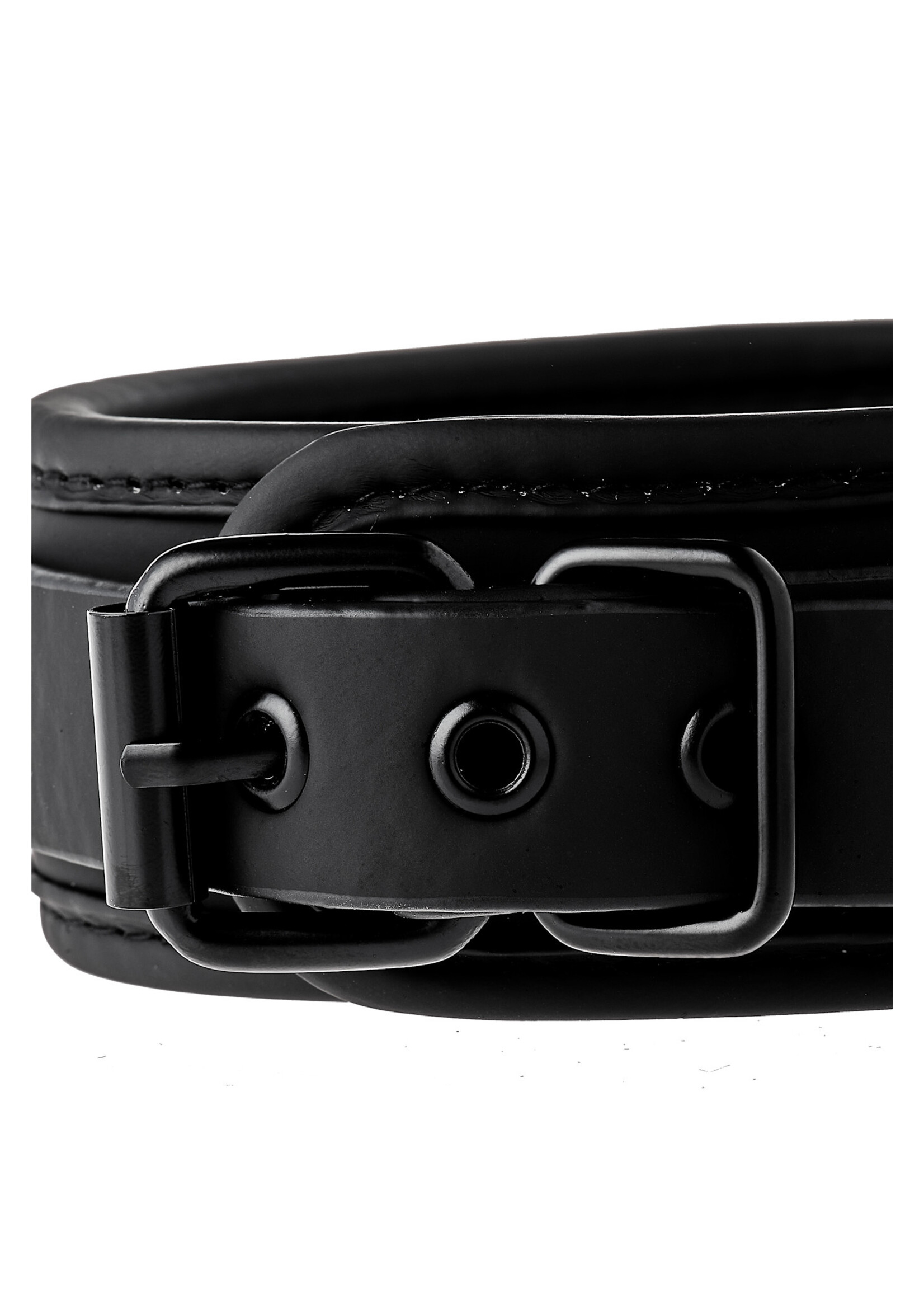 Blaze Blaze collar and leash