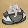 Deryan Deryan Luxury Elephant Pluszowa Zabawka - XL Pluszowa Zabawka - Słoń - Wypchane Zwierze - Szary Deryan Deryan Luxury Elephant Pluszowa Zabawka - XL Pluszowa Zabawka - Słoń - Wypchane Zwierze - Szary