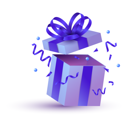 Mystery Box Large Mystery Box Large