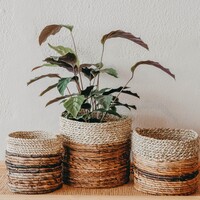 Asmara Basket Natural - Set