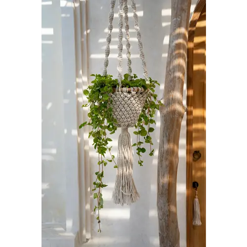 Bazar Bizar The Twisted Macrame Plant Holder - Natural White - L