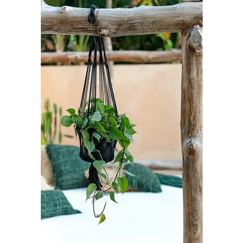 Bazar Bizar The Macrame Plant Holder - Black - S