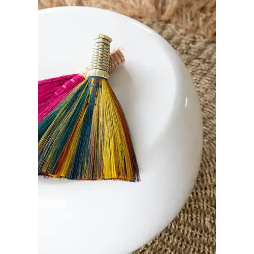 Bazar Bizar Handveger the Sweeping Brush - Regenboog