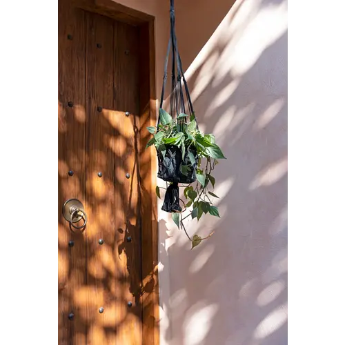 Bazar Bizar The Macrame Plant Holder - Black - L