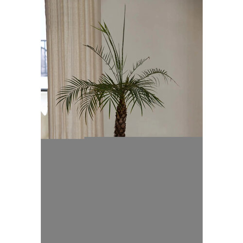 Bazar Bizar De Luziru Mand - Naturel - M