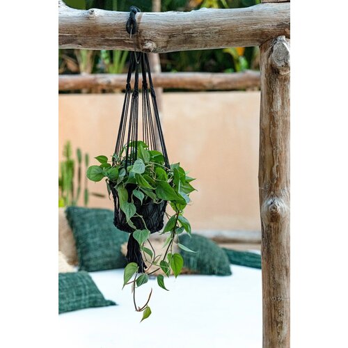Bazar Bizar The Macrame Plantenhanger - Zwart - S