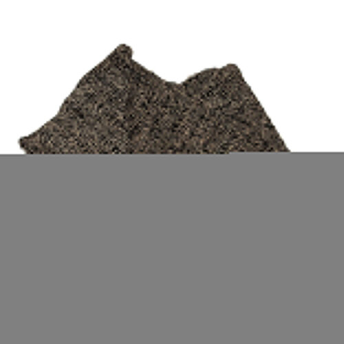Bazar Bizar De Seagrass Tapijt - Naturel Zwart - 200x300