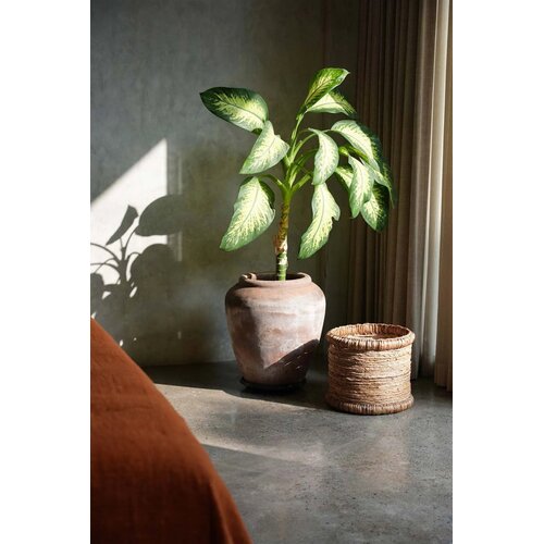 Bazar Bizar De Chuka Basket