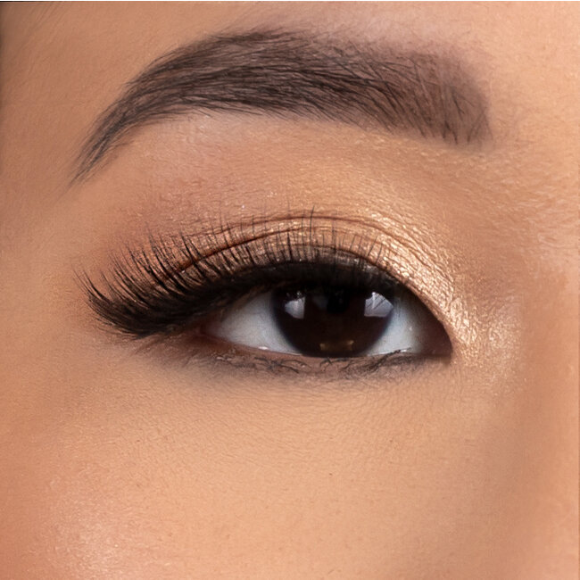 Maria Malki Cosmetics   Lua Lashes