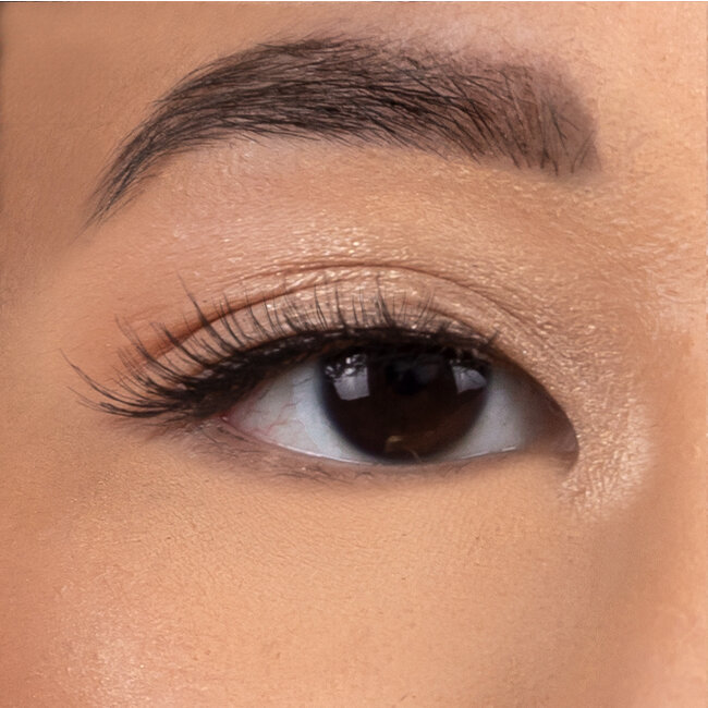 Maria Malki Cosmetics  Fay Lashes * Naturel