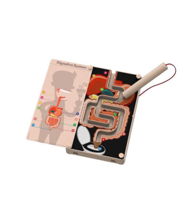 4M KidzLabs Stresstester Spijsverteringsysteem 8+