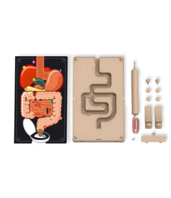 4M KidzLabs Stresstester Spijsverteringsysteem 8+