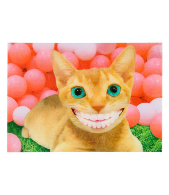 Lenticulaire Kaart Bewegend | Lachende Poes