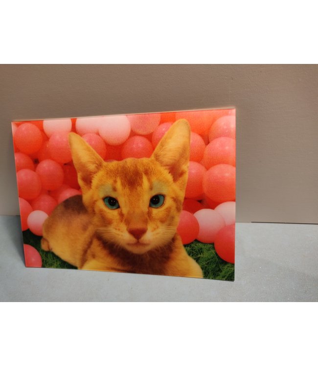 Lenticulaire Kaart Bewegend | Lachende Poes