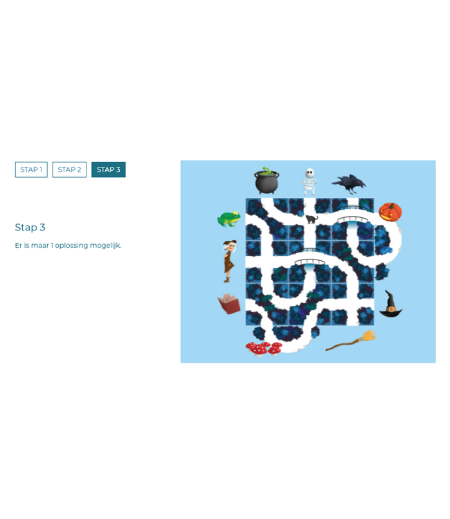 Smartgames | Magnetic Travel Game | Magic Forest | 8+