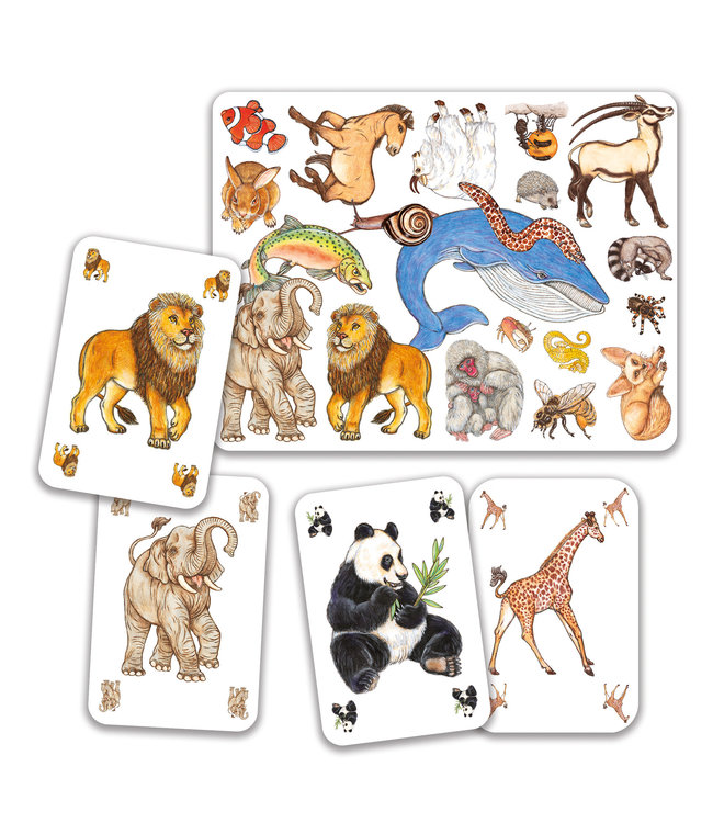 Djeco | Kaartspel | Zanimatch | 5-99 jaar