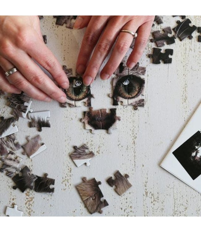 Kikkerland | Puzzle | Refunzzle | Shuffleface | 4 x 100 stukjes | 5+