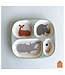 Petit Jour Petit Jour | Savanne | Vakjesbord | 24 x 21 cm | +6 mnd