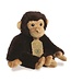 Aurora Aurora | Eco Nation | Chimpansee | 24 cm | 0+
