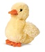 Aurora Aurora | Mini Flopsie | Lil Eend | 20,5 cm