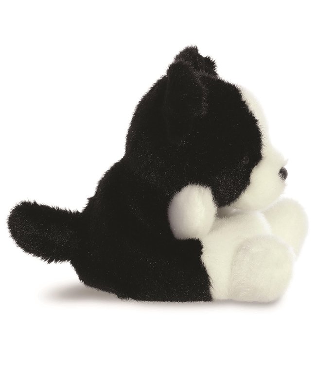 Aurora | Palm Pals | Border Collie | 13 cm | 0+