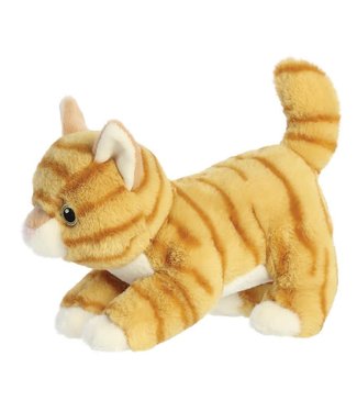 Aurora Aurora | Eco Nation | Oranje Kat | 21 cm | 0+