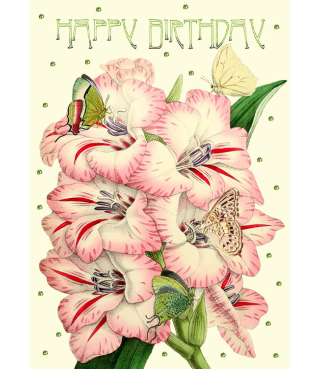 Madame Treacle | Happy Birthday | The Hummingbirds